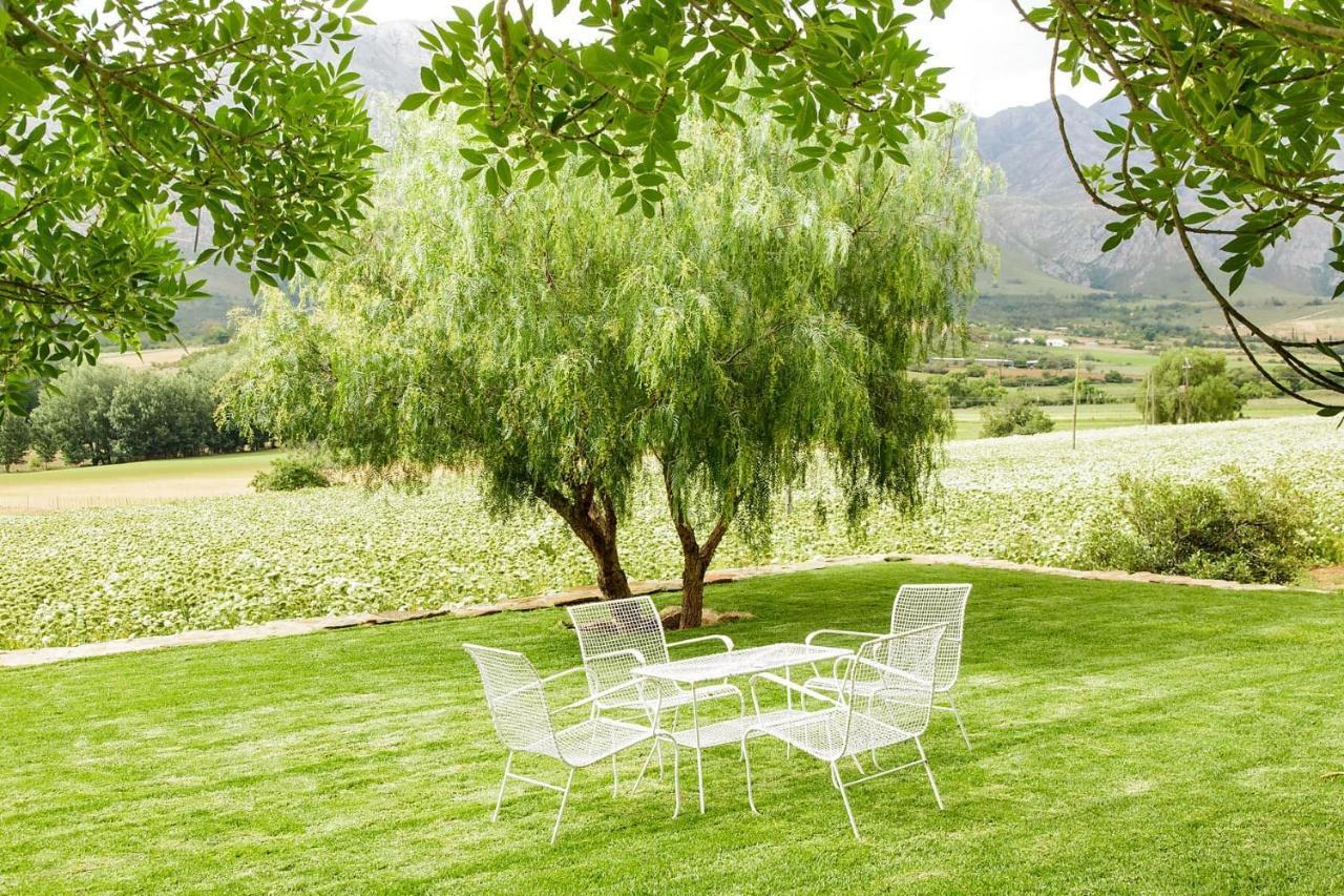 Blue Lily Retreat Bed & Breakfast Matjiesrivier  Luaran gambar