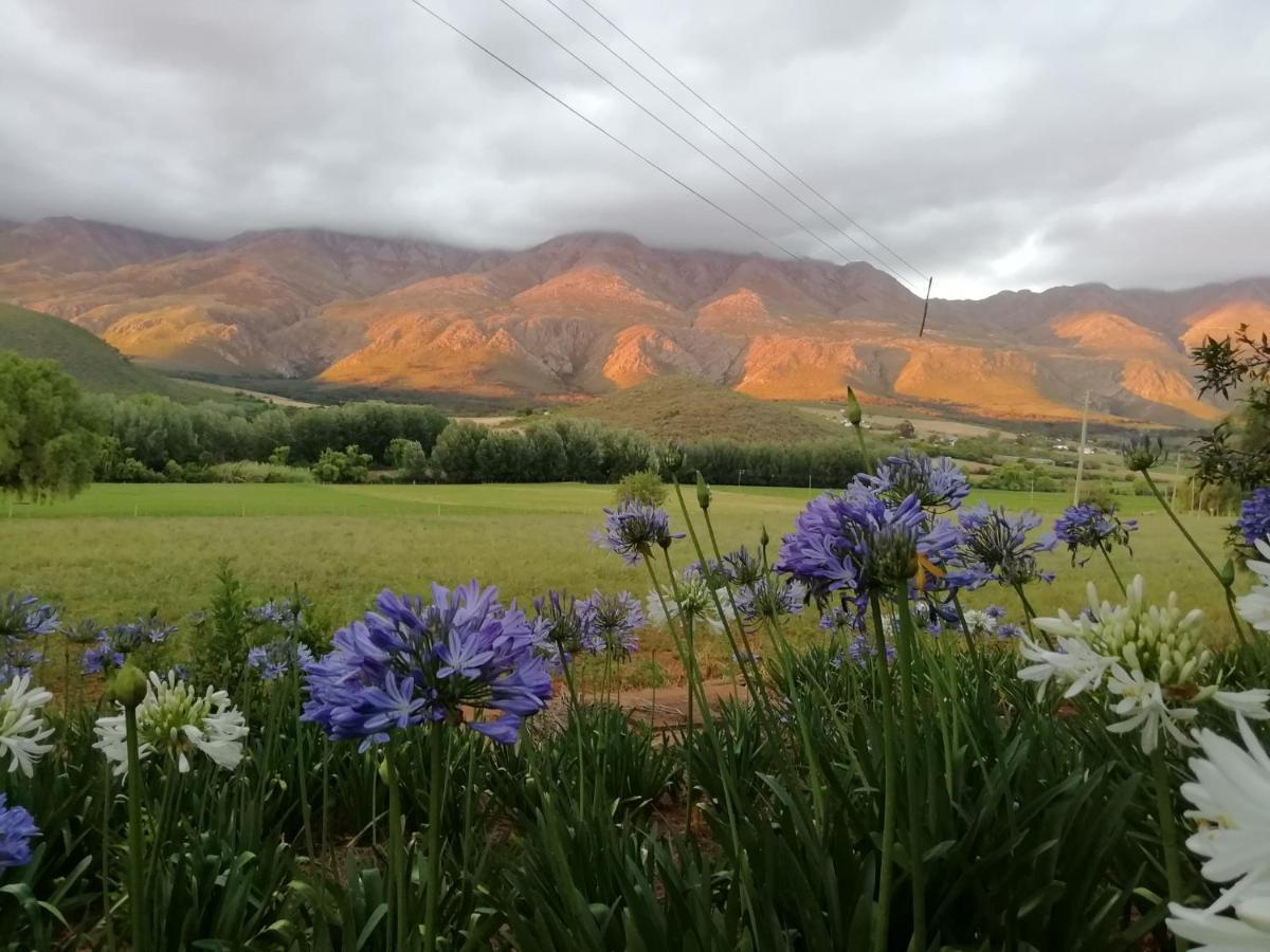 Blue Lily Retreat Bed & Breakfast Matjiesrivier  Luaran gambar